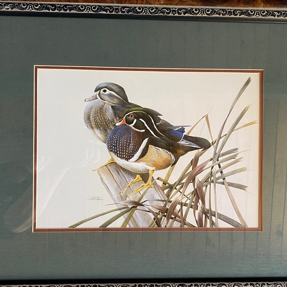 Art La May 3x framed prints with glass: Water Pair, Green Winged, Canvas Back. - Picture 10 of 16